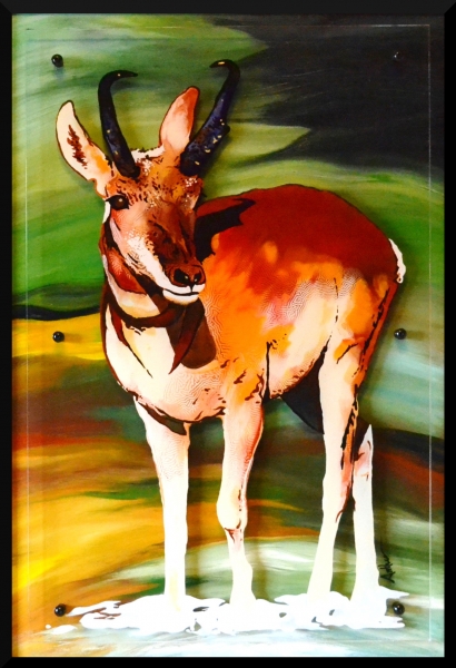 El Berrendo by Diane Antheunisse
