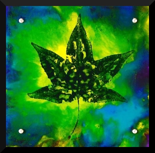 Click here to view Crystal Leaf by Diane Antheunisse