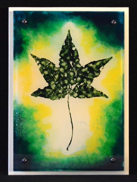 Click here to view Viridian Leaf by Diane Antheunisse
